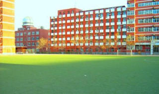 二七区小学排名 二七区小学排名榜