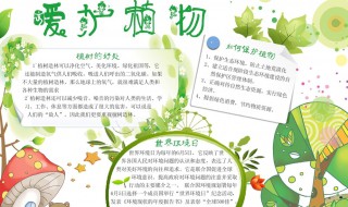 关于植物的手抄报（关于植物的手抄报内容）