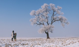 立冬节气是什么形成的（立冬的节气特点是什么）