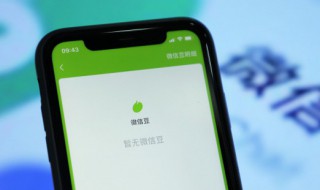 微信怎么关闭免密支付功能 oppo手机微信怎么关闭免密支付功能