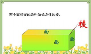 长方体的棱长总和公式（长方体的棱长总和公式字母）