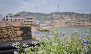 学生情侣适合去哪里旅游（学生情侣适合去哪里旅游好）