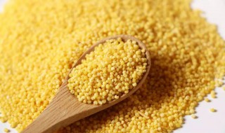 小米的营养价值及功效与作用（小米的营养价值及功效与作用和禁忌）