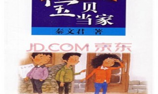 宝贝当家书的主要内容 宝贝当家书的主要内容50字