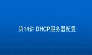 DHCP获取不到DNS怎么办（dhcp获取不了地址）