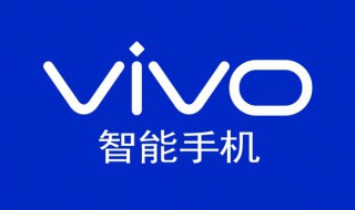 vivo手机驾驶模式有什么用（vivo手机驾驶模式有什么用吗）