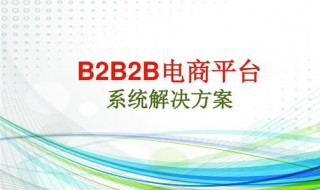 综合类2b电商是什么（综合类2B电商是什么意思）