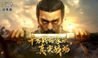 三国志战略版典韦怎么搭配武将 三国志战略版 典韦搭配