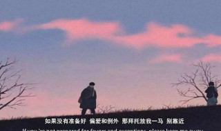 例外和偏爱什么意思（你是我的例外和偏爱什么意思）