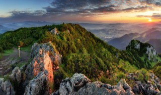 九月九日忆山东兄弟的山指的是 九月九日忆山东兄弟的山指的是什么意思