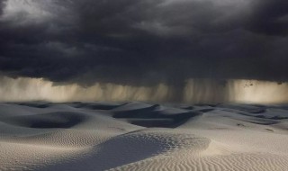 沙漠雨效应是什么意思 什么是沙漠雨效应?