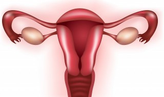 提防卵巢早衰 提防卵巢早衰的方法