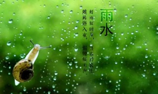 雨水养生保健有什么方法 雨水养生保健有什么方法可以做