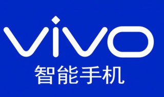 vivo双引擎充电在哪里设置（vivo双向引擎充电在哪在哪里）