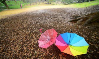 降雨是冷空气还是暖空气 降雨是冷空气还是暖空气呢