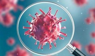 新型冠状病毒主要的传播途径是什么 新型冠状病毒传播的主要途径是什么和什么