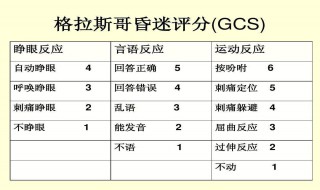 gcs评分标准（gcs评分标准昏迷分级E1vtm1）