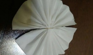 小白花怎么制作 小白花怎么制作简单纸巾