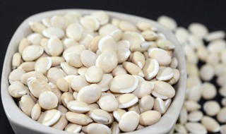 白芸豆粉的功效与作用 白芸豆粉的功效与作用减肥