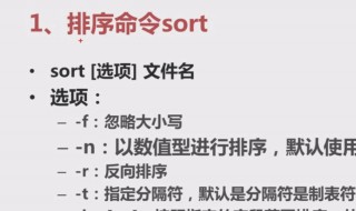 使用sort命令排序文件内容