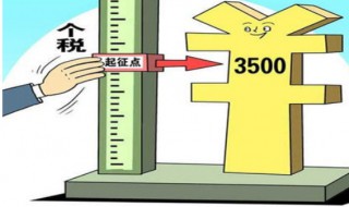 个人所得税年报怎么报 个人所得税年报怎么报网咖