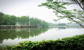 长沙雨花区旅游景点 长沙雨花区旅游景点有哪些