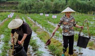 化肥可循环利用吗（化肥可循环利用吗知乎）