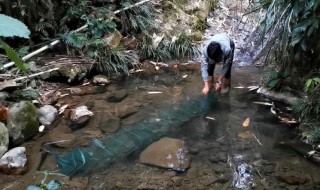 抓小鱼用什么地笼 抓鱼用哪种地笼比较好