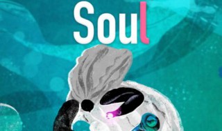 soul获取失败怎么回事（soul为什么获取不了主页）