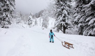 各人下雪意思 各人下雪的意思