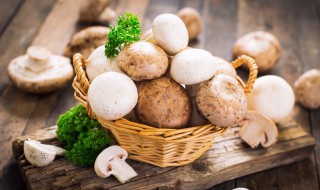 蘑菇和白菜能一起吃吗（蘑菇和白菜能一起吃吗会中毒吗）
