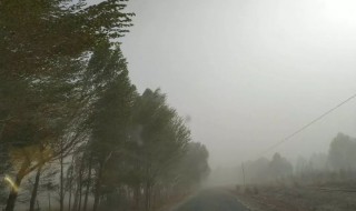 梦见刮风下雨什么预兆 梦见刮风下雨什么预兆还有河水