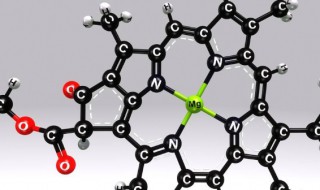 叶绿素的简单结构 叶绿素 结构