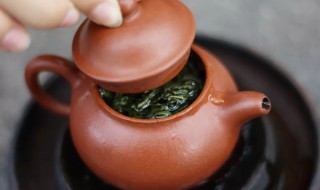 永春茶属于什么茶（永春茶属于什么茶种）