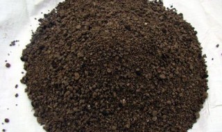 黑粒粒有机肥怎么使用（黑颗粒肥是什么肥料）