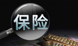 保险的性质是什么（保险具有什么性）