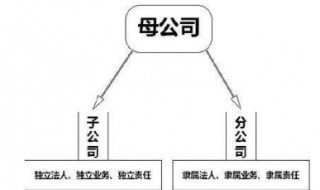 总公司与分公司的关系是什么（总公司与分公司属于什么关系）