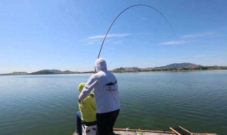 钓鱼提竿正确的方法 钓鱼提竿的技巧