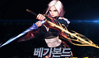 dnf流浪武士穿什么甲（dnf流浪武士带什么套装）