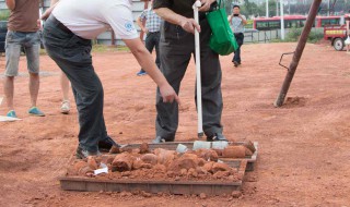 怎样进行土壤的采样与处理 怎样进行土壤的采样与处理技术