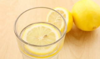 蜜蜂柠檬水的做法 蜜蜂柠檬水的做法大全