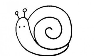 蜗牛怎么分辨公和母（蜗牛怎样分辨公母）