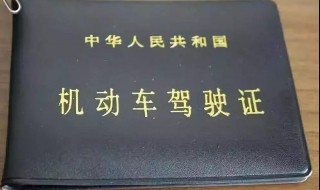 驾驶证照片是什么底色 补办驾驶证照片是什么底色