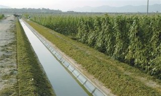 水渠对农业发展的作用 水渠对农业发展的作用有哪些