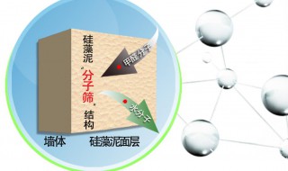 硅藻水怎么调 硅藻水怎么调色