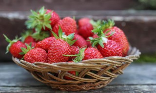 草莓什么季节的食物 草莓什么季节的食物最好吃