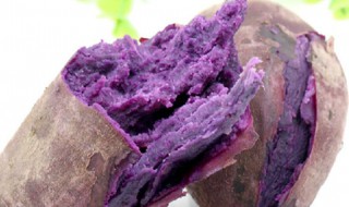 紫薯是什么时候种的（紫薯是什么时候种的呢）