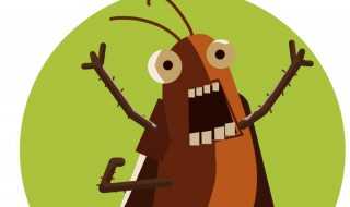 怎么防止蟑螂爬到床上 灭蟑螂的专业公司上门
