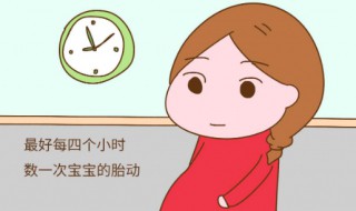 怀孕了公司装修怎么办（怀孕了公司在装修）