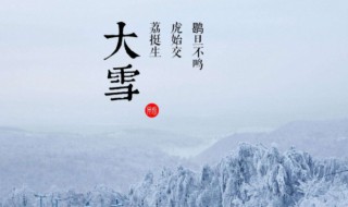 大雪节气吃什么进补对身体好 大雪节气后吃什么补身体